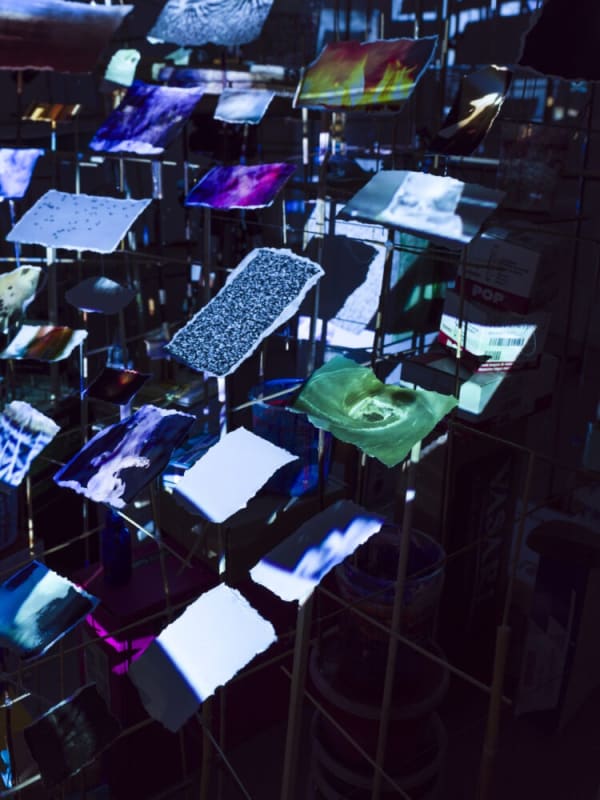 Sarah Sze: <i>Night into Day</i> opens at Fondation Cartier pour l’art contemporain