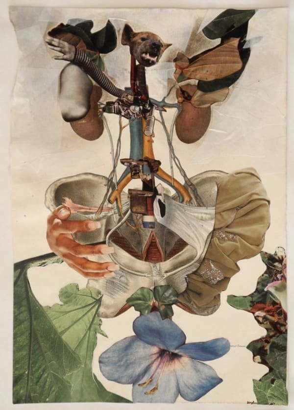 Wangechi Mutu in Blind Faith: Between the Visceral and the Cognitive in Contemporary Art, coming to Haus der Kunst, Munich 