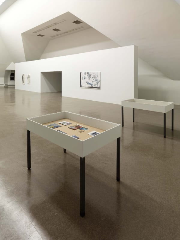 Varda Caivano, Untitled (2013)