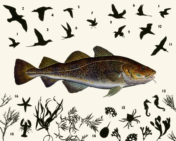 Atlantic Cod 2018 Acrylic and oil on panel 45 x 56 inches
