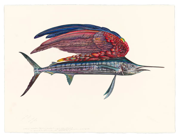 Sailfish 2021 Watercolor, gouache, colored pencil, graphite, and powdered mica on paper 24 x 31 inches