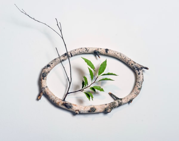 Myth of Order II, 2016 Birch branches, clay, watercolor, acrylic, oil paint, & wire 11.5 x 17.5 x 1.5 inches
