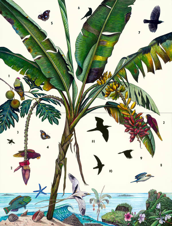 James Prosek Paradise Lost, Panape, 2020 Watercolor & acrylic on panel 76 x 58 inches