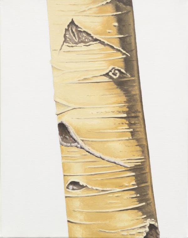 Sean Cavanaugh, Trunk No. 8, 2013