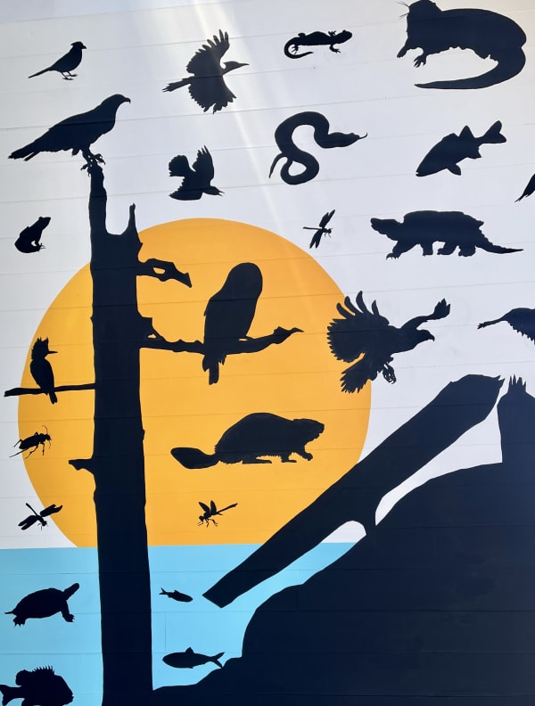James Prosek: FARNSWORTH MURAL PROJECT