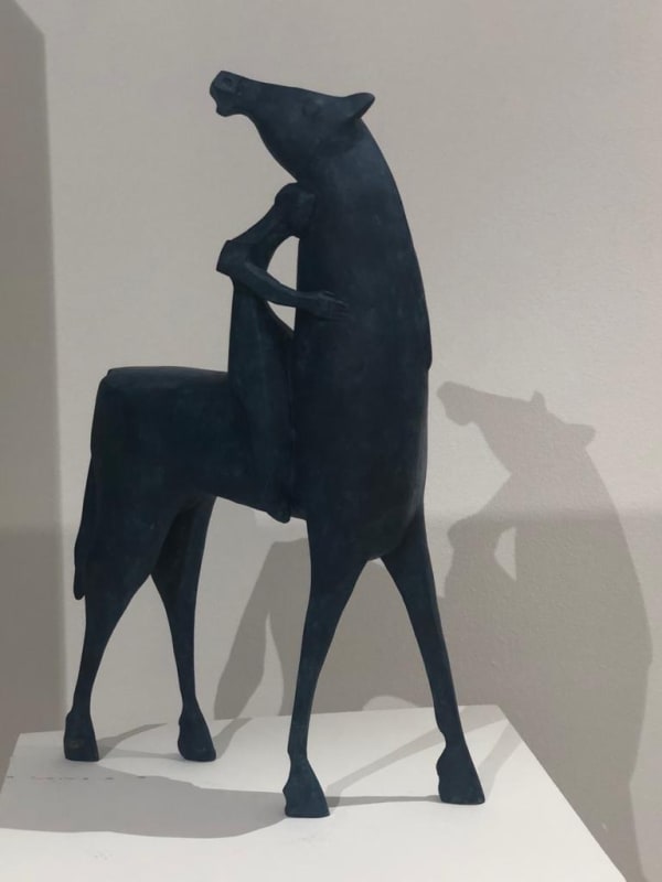 Theo Mackaay, Jockey Horse