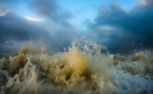 Mischa Keijser, Maro V2 #041