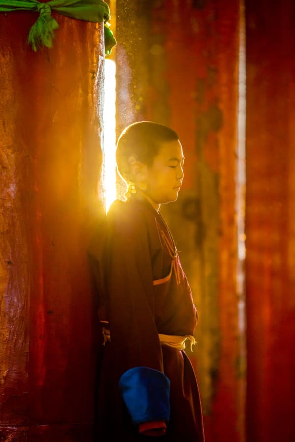 Marie van der Heijden, Temple