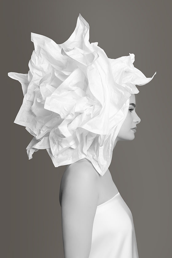 Désirée Hofland, Serendipity