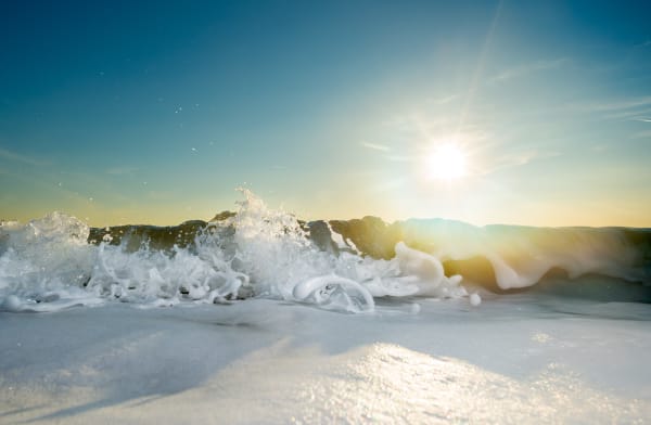 Mischa Keijser, Maro 4