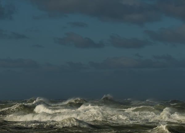 Mischa Keijser, Maro 8