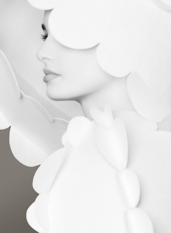 Désirée Hofland, Denouement