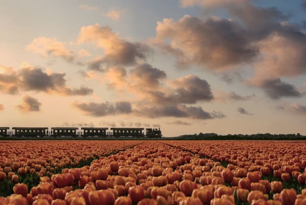 Ezra Böhm, Stoomtrein