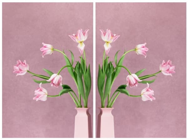 Puck Soetens, Tulpen in een roze vaas