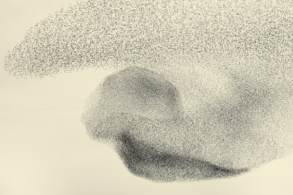 Erik Hijweege, Prima Donna