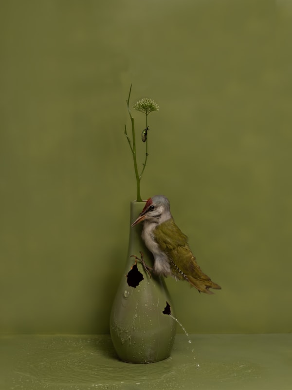 Kaat Stieber, The Hunt