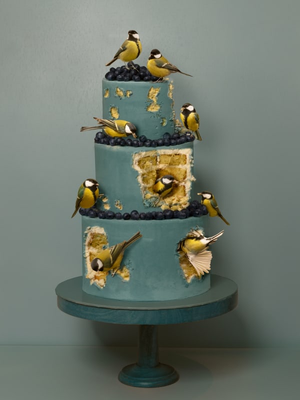 Kaat Stieber, Bird Day