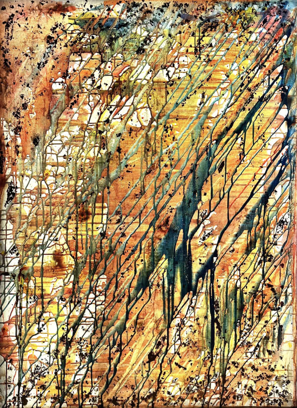 Floor in 't Veld , Apricity