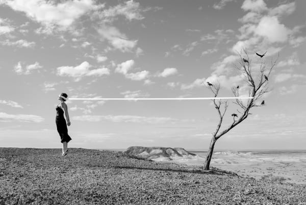 Astrid Verhoef, Inscapes - Birds