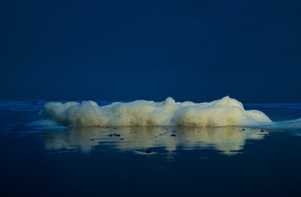 Mischa Keijser, Maro 24