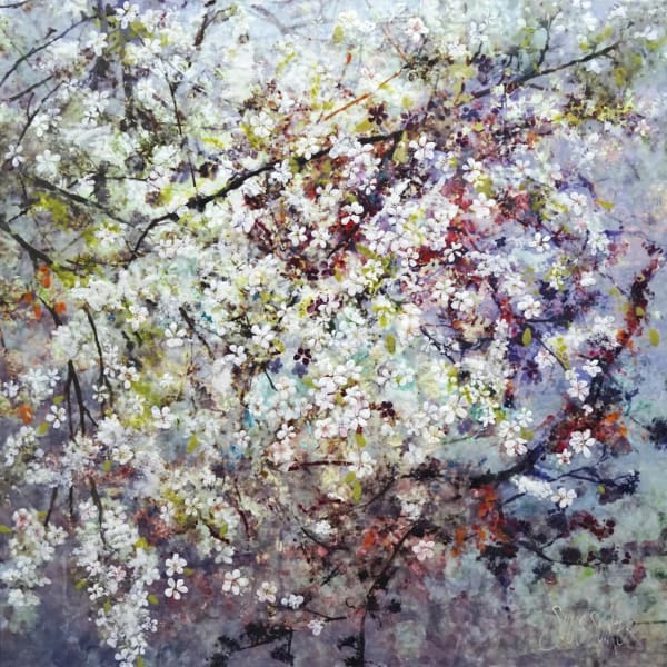 Suus Suiker: Symphonia Naturae Haarlem