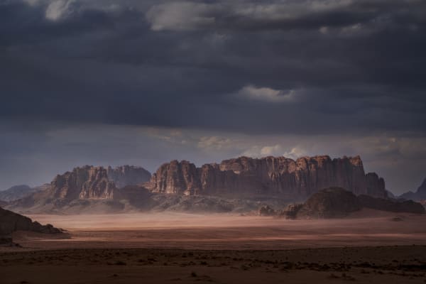 September Bloom: An Artistic Blend Groepstentoonstelling in Haarlem