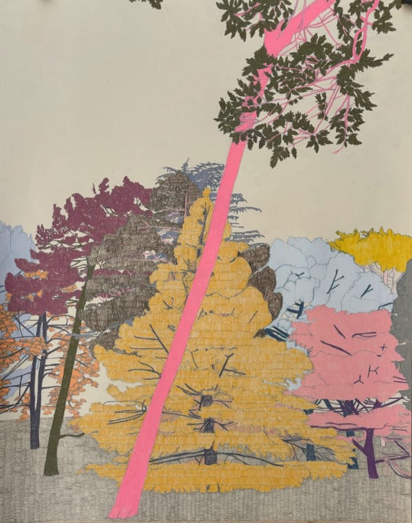 Large Tree Study III Original Pencil Drawing on Paper 50x65cm