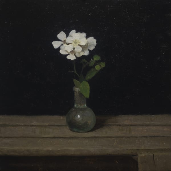 Sissinghurst Rose, 2021 oil on linen 10 x 10 inches