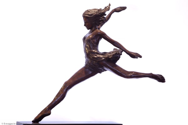 Martin Wright - FREE SPIRIT