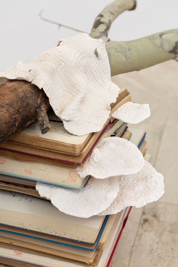 Installation View La Biblioteca del Mondo, Conversation Piece IX | Fondazione Memmo, Rome. Ph Daniele Molajoli (detail)