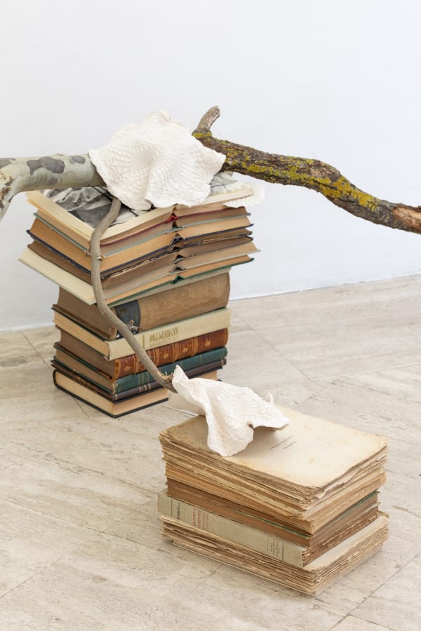 Installation View La Biblioteca del Mondo, Conversation Piece IX | Fondazione Memmo, Rome. Ph Daniele Molajoli (detail)