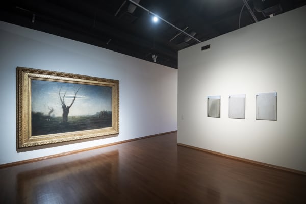 Installation View Terra e Vapori | GAM Torino | 16 October 2024 > 16 March 2025 ph. Giorgio Perottino