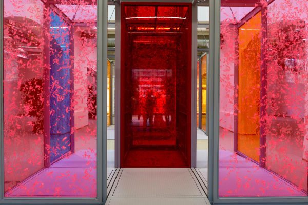 Installation View Compagni e Angeli, 2023 | Ex Caserma Rossani, Bari