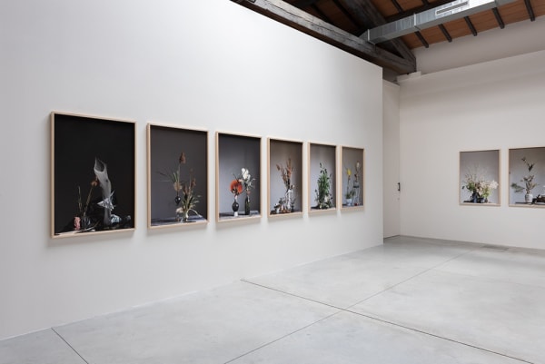 Installation view Still life | a cura di Davide Sarchioni | BBs-pro / Accaventiquattro Prato | 20 maggio – 26 settembre 2021