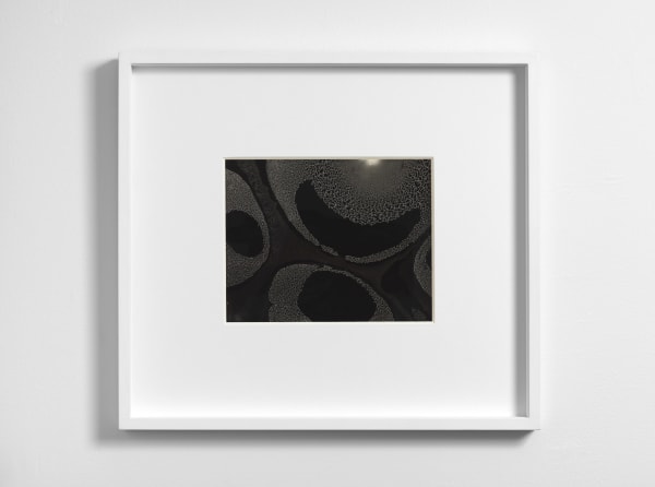 Beatrice Pediconi, Alien Solo #13/o, 2016