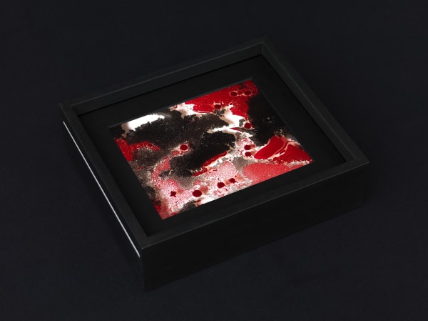 Beatrice Pediconi, Variabile #4, 2016