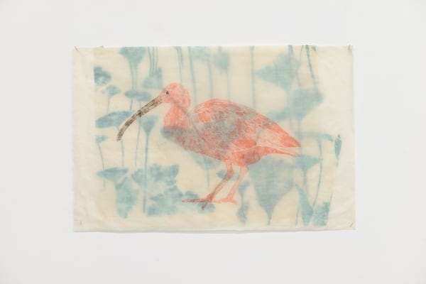 Ibis, 2025, drawing with oil pastel from handmade carbon paper on Taiwanese double mulberry paper, cm 37.5 x 57.5