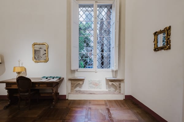 Installation View, Marta Roberti, Giungla a Palazzo, curated by Silvia Evangelisti, 2025, Palazzo Boncompagni, Bologna. Ph Marcela Ferreira