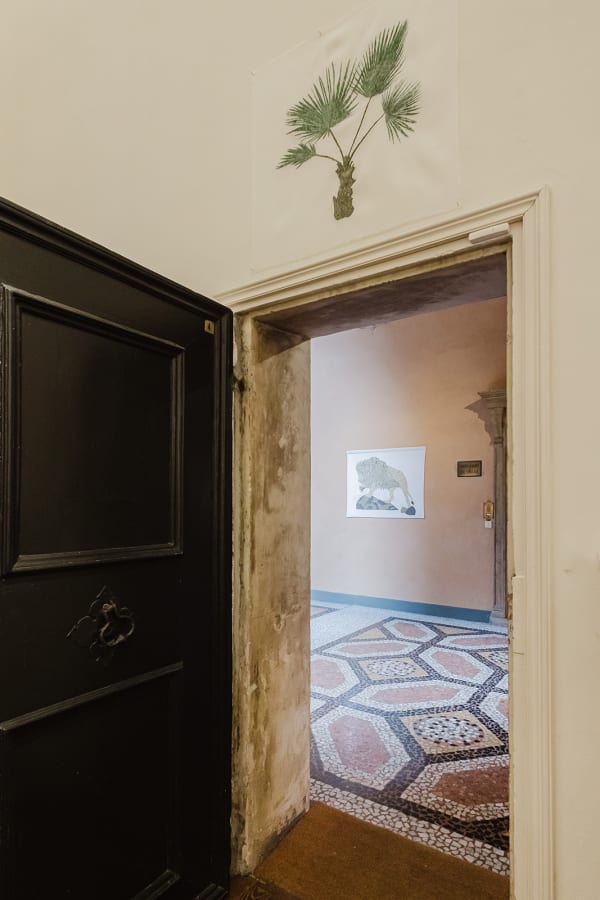 Installation View, Marta Roberti, Giungla a Palazzo, curated by Silvia Evangelisti, 2025, Palazzo Boncompagni, Bologna. Ph Marcela Ferreira