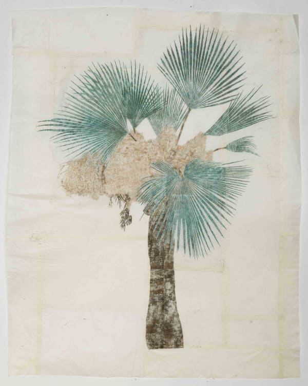 Palma Washingtoniana 2 fiori, 2022, Oil pastel on Yunnan paper cm 80 x 94 PhGiorgioBenni