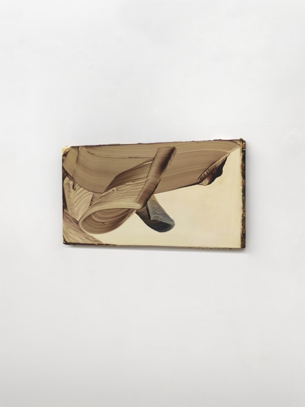 Markus Saile, Untitled, 2025, oil on wood, cm 23,5 x 49 Side view Ph. Dario Lasagni