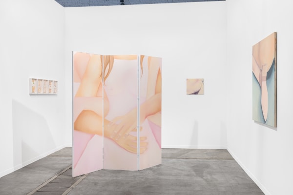 Installation View, Solo Show by Adelisa Selimbašić, z2o Sara Zanin, Art Brussels 2025. Ph. Nicola Morittu