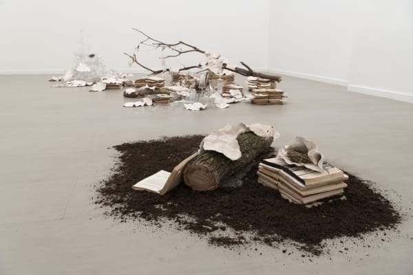 Ekaterina Panikanova, Attraversando il mio giardino, curated by Marina Dacci, z2o Sara Zanin Gallery Rome