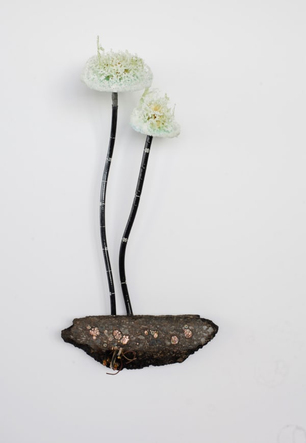 Kristof Kintera, Telefonica Lapidaria (From Postnaturalia Herbario, 2016, mixed media, cm 103 x 73