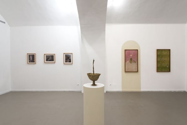 Evgeny Antufiev, Eternal Garden, 2017, installation view at z2o Sara Zanin Gallery