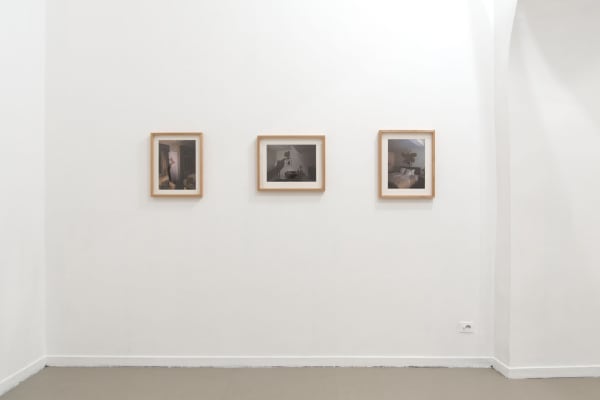 Evgeny Antufiev, Eternal Garden, 2017, installation view at z2o Sara Zanin Gallery