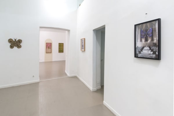 Evgeny Antufiev, Eternal Garden, 2017, installation view at z2o Sara Zanin Gallery