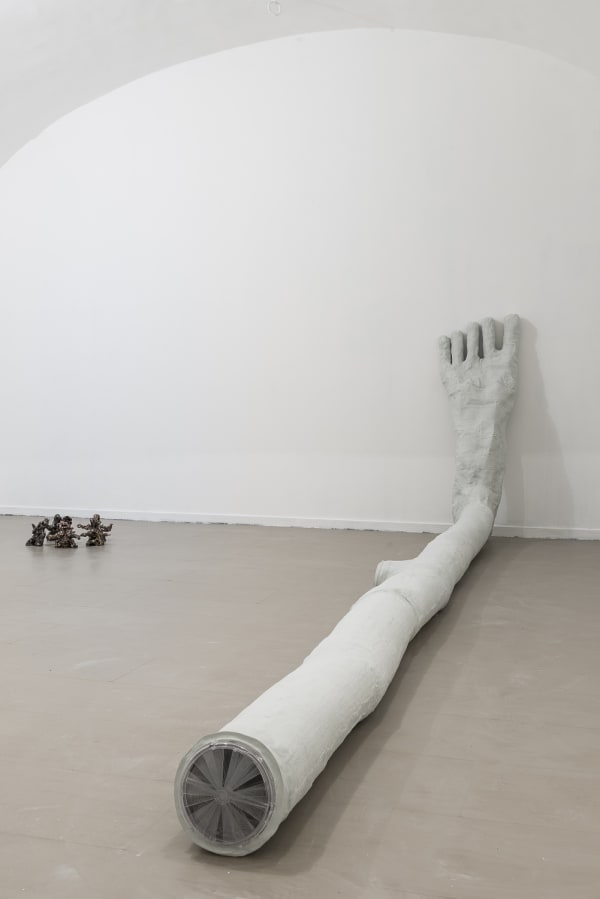 Walled Gardens In An Insane Eden, 2017, InstallationView, Room 3, z2o Sara Zanin Gallery, Roma photo credits Sebastiano Luciano