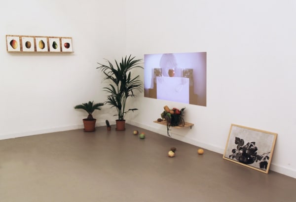 Ab Origine, Installation View, z2o Sara Zanin gallery, room 3