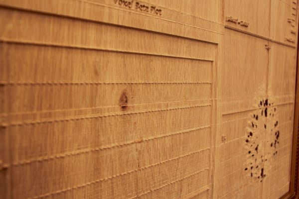 Ab Origine, Installation View, z2o Sara Zanin gallery, room 3 Details Amy Cheung, Imagine Hero, 2013. Incision on wood, blood, golden frame; cm 80 x 160. Video documuentation, 9’09